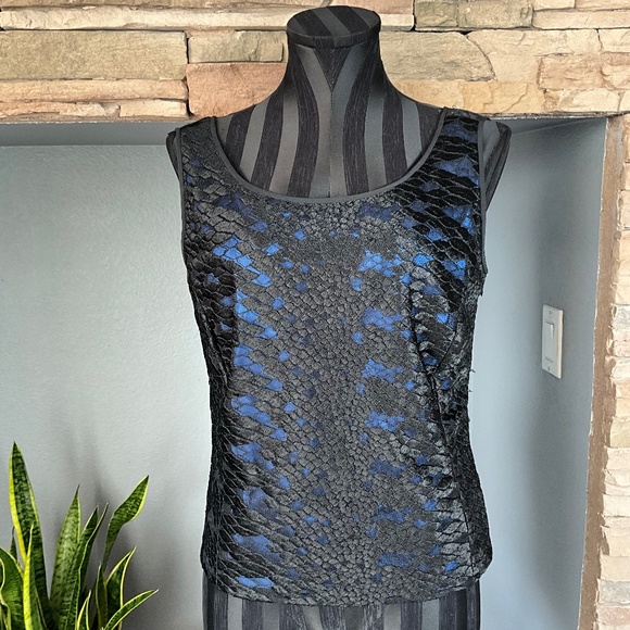Carlisle Sheer Lace Silk Event Party Top Holiday Elegant Cobalt Blue Black 8 - Picture 2 of 11